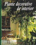 Ursula Kruger - Plante decorative de interior. Sugestii de aranjament cu plante