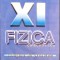FIZICA, CULEGERE DE PROBLEME PENTRU CLASA A XI-A (F1+F2)-ARMAND POPESCU, NICOLETA ESEANU, ANDREI PETRESCU, -261294