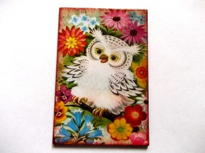 Magnet frigider cu bufnita 41253 foto