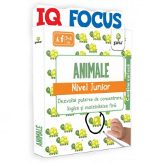 IQ FOCUS Animale ? nivel Junior foto