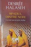 Carte Spatiul dintre nori. Cu rucsacul in India - Desiree Halaseh
