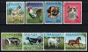 PANAMA 1967 - Animale domestice / serie completa, Stampilat