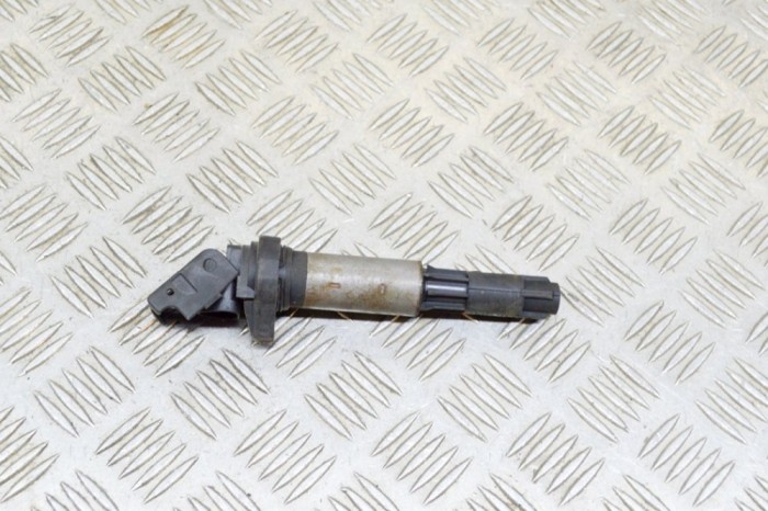 Bobina de inducție de &icirc;naltă tensiune BMW 7 E65, E66, E67 2003 OEM: 0221504100,4485298,1220703201 13809784
