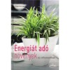 Energi&aacute;t ad&oacute; szoban&ouml;v&eacute;nyek - Irmgard Brottrager