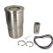 Piston cu manson set (STD) se potrive?te: VOLVO FH. FM. FMX D13A360-D13H440 09.05-