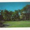 FA62-Carte Postala- SUA - Brown University, Providence R. L. , circulata 1977