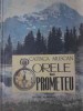 Orele lui Prometeu - Catinca Muscan, Albatros 1986, Geografie, Carte veche