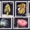 DB1 Fauna Marina Anemone Monaco 1980 10 v. MNH ( lipsa 15 c. )