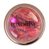 Cumpara ieftin Paiete Unghii LUXORISE, Pink Dazzle