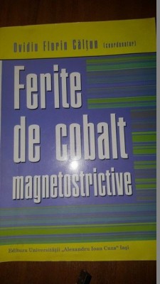 Ferite de cobalt magnetostrictive- Ovidiu Florin Caltun foto