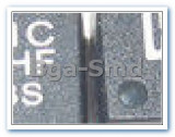 TS21C HF Circuit Integrat