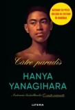 Catre paradis/Hanya Yanagihara