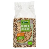 Quinoa colorata, eco