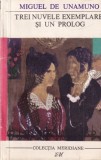 Miguel de Unamuno - Trei nuvele exemplare si un prolog