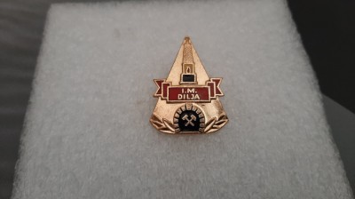 Insigna I M Dalja foto