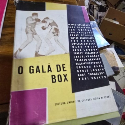 O gala de box foto