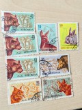 SET TIMBRE FAUNA ROMANIEI