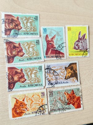 SET TIMBRE FAUNA ROMANIEI foto