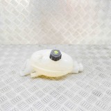 Vas de expansiune RENAULT MASTER III Furgon FV 2017 OEM: 217100015R 17899314