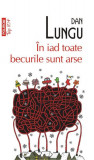 &Icirc;n iad toate becurile sunt arse - Paperback brosat - Dan Lungu - Polirom