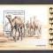 Sahara OCC R.A.S.D 1996 Camels, perf. sheet, used AB.020