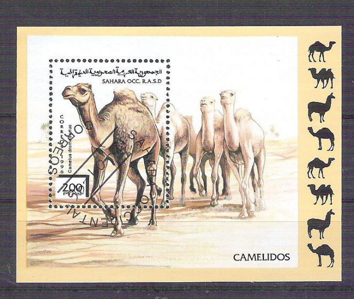 Sahara OCC R.A.S.D 1996 Camels, perf. sheet, used AB.020