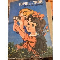 COPIII PRIN TARA - DUMITRU RISTEA