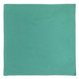Față de Pernă Decorativă, Model Iarnă, Velvet, Culoare Verde Mentă, Mărime 45x45cm, Oem