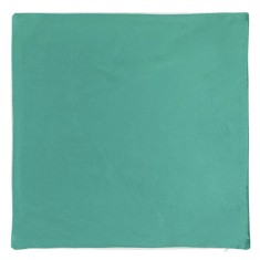 Față de Pernă Decorativă, Model Iarnă, Velvet, Culoare Verde Mentă, Mărime 45x45cm