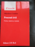 Procesul civil