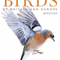 RSPB Birds of Britain and Europe | Rob Hume