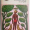 A doua carte a junglei - Rudyard Kipling