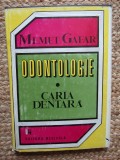 Memet Gafar - Odontologie Caria dentara