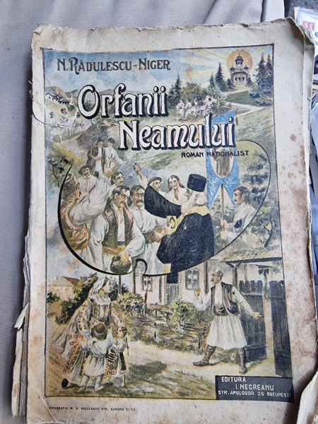 N. Radescu-Niger - Orfanii Neamului