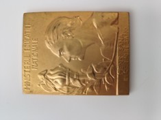 placheta bronz aurit, Ministerul Educatiei Nationale , Deviza ,,Mens Sana in Corpore Sano,, splendida