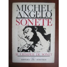 SONETE SI CRAMPEIE DE SONET - MICHELANGELO