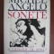 SONETE SI CRAMPEIE DE SONET - MICHELANGELO