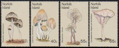NORFOLK - 1983 - CIUPERCI foto