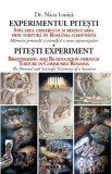 Experimentul Pitesti - Nicu Ionita