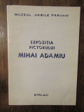 Expoziția pictorului Mihai Adamiu, Muzeul &quot;Vasile P&icirc;rvan&quot; B&icirc;rlad - M. Mihalache