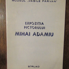 Expoziția pictorului Mihai Adamiu, Muzeul "Vasile Pîrvan" Bîrlad - M. Mihalache