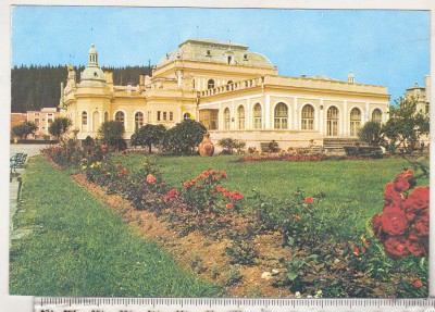 bnk cp Vatra Dornei - Pavilionul central - necirculata foto