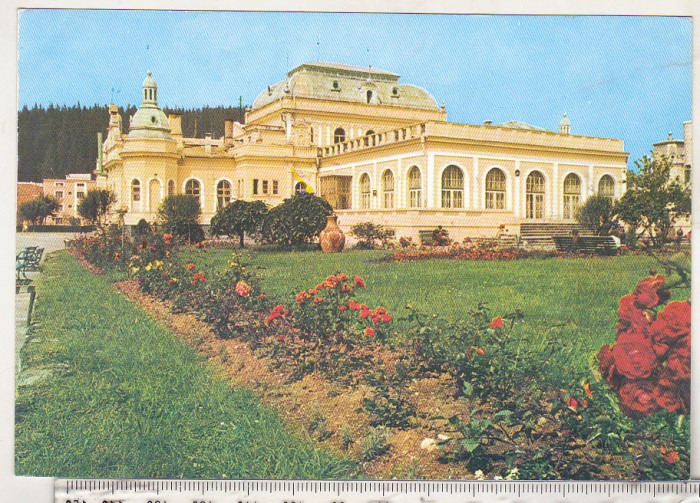 bnk cp Vatra Dornei - Pavilionul central - necirculata
