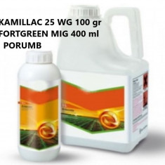 Pachet Complet Porumb (Kamillac 25 WG 100gr+Fortgreen Mig 2x200ml)