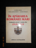 DUMITRU PREDA - IN APARAREA ROMANIEI MARI. CAMPANIA ARMATEI ROMANE DIN 1918-1919