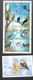 dominica pasari mnh