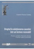 Dreptul la solutionarea cauzelor intr-un termen rezonabil | Cosmin Flavius Costas, Universul Juridic