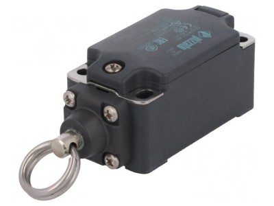 Limitator cursă inel NO NC 10A IP67 foto