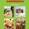 Ghidul gospodinei - Antonov C.