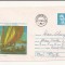Plic FDC Romania -100 de ani de la nasterea pictorului N. Darascu, Circulat 1988